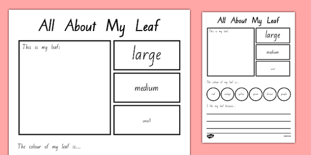 All About My Leaf Worksheet / Worksheet (Teacher-Made)