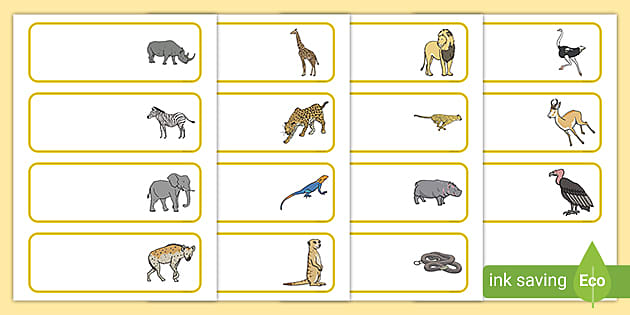 👉 Editable Drawer - Peg - Name Labels (Safari) - Twinkl