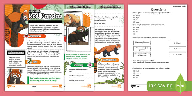 LKS2 All About Red Pandas Differentiated Reading Comprehension Activity