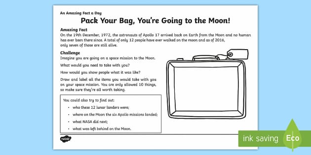 Pack Your Bag, You're Going to the Moon Worksheet / Worksheet