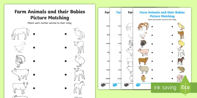 Farm Animals and Their Babies Matching Worksheet ...