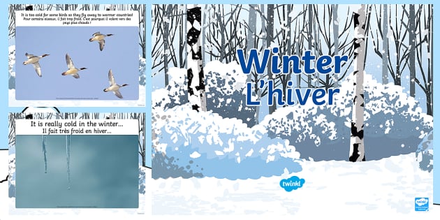 Petit livre sur l'hiver pour apprendre à lire - Twinkl