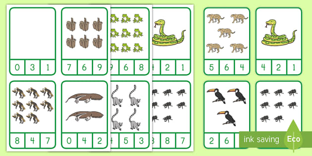 Rainforest Animals Counting to 9 Clip Cards (teacher made)