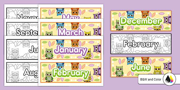 Adorable Owl Theme Months of the Year Bulletin Board Labels