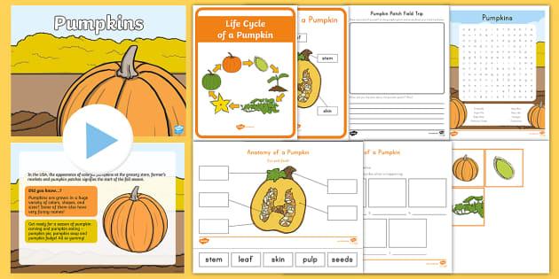 life-cycle-of-a-pumpkin-activities-emergent-reader-and-crafts-pumpkin-activities-pumpkin-life