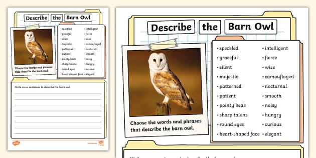 Describe the Barn Owl Writing Activity - Twinkl - KS1