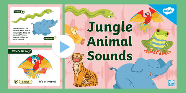 Animal Sound Guessing Game | Twinkl (Teacher-Made) - Twinkl