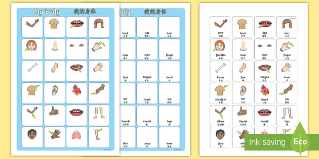 Chinese Vocabulary Worksheet Pack printable (Download Now) 