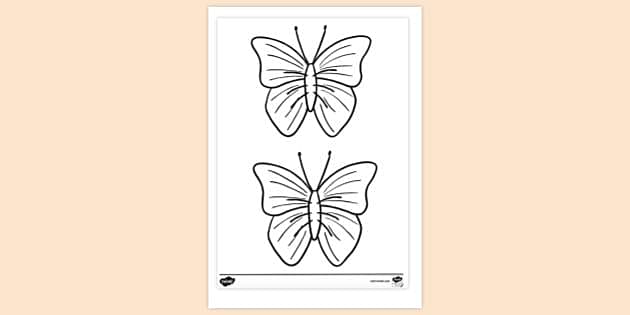 FREE! - Beautiful Butterfly Colouring Page | Colouring Pages