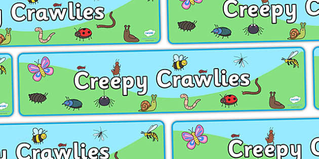 free-creepy-crawlies-display-banner-twinkl