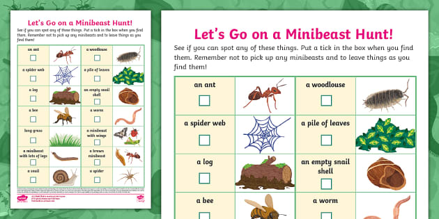 Let's Go on a Minibeast Hunt! Tick Sheet (teacher made)