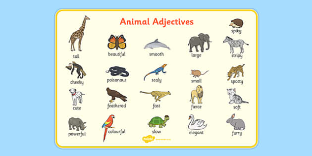 Animal Adjectives Word Mat - ESL Animals Vocabulary