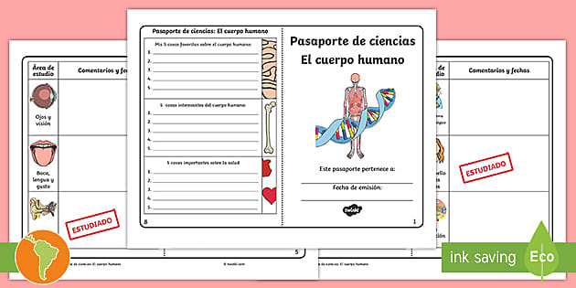 El esqueleto humano worksheet