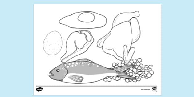 FREE Protein Colouring Sheet Colouring Sheets Twinkl