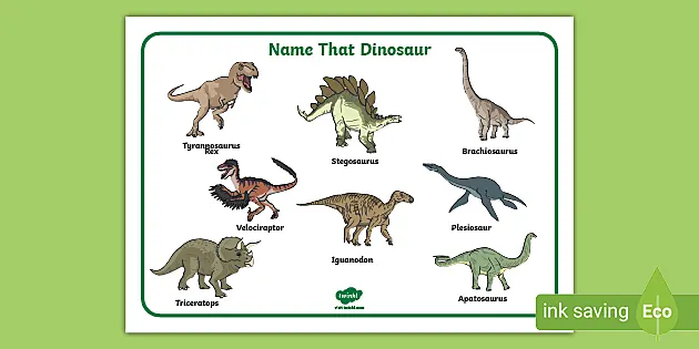 EYFS I can Write and Spell my Name Dinosaur Design pre school Early Learning 