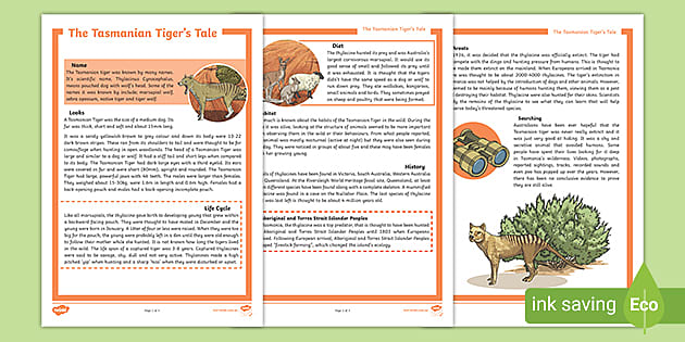 Tasmanian Tiger Fact Sheet (teacher made) - Twinkl