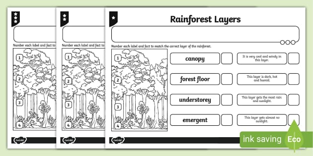 Differentiated Rainforest Layers Activity Sheet - Twinkl
