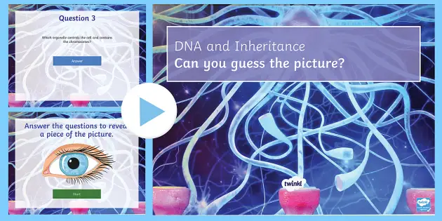 dna and inheritance quiz powerpoint