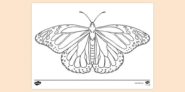 Butterfly Drawing | Colouring Pages for Kids (teacher made)-saigonsouth.com.vn