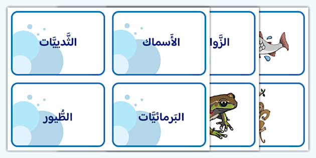 بطاقات مطابقة : مجموعات الحيوانات