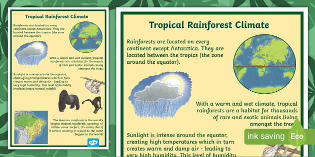 Tropical Rainforest Climate Display Poster Tropical Rainforest Climate Display Poster