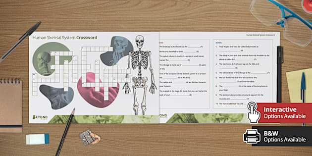 Human Skeletal System Crossword (Teacher Made) Twinkl