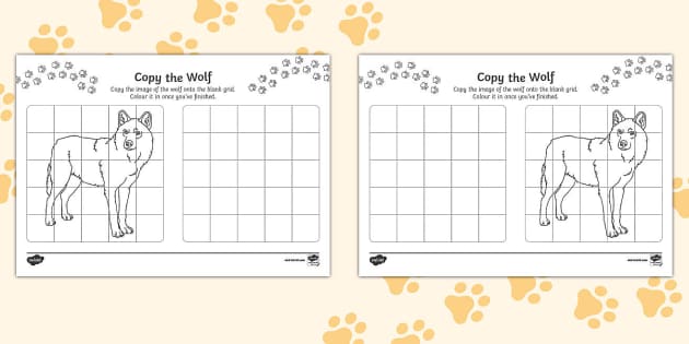 Copy the Wolf Worksheet (teacher made) - Twinkl