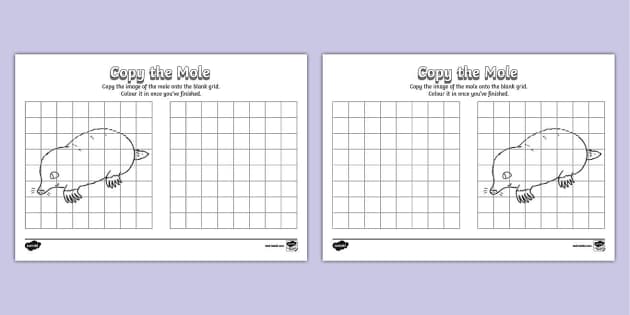 Copy the Mole Worksheet (teacher made) - Twinkl