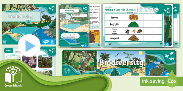 FREE! - Biodiversity Resource Pack | Green - Schools Ireland