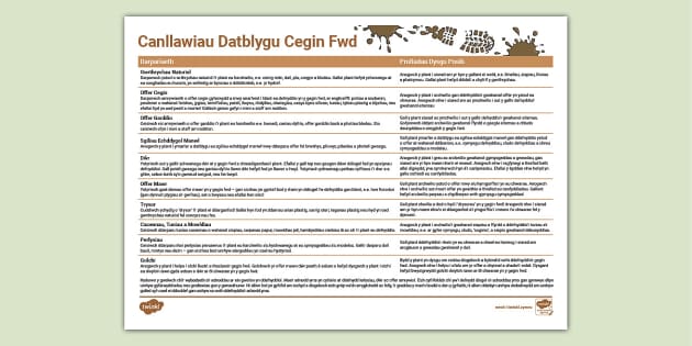 Canllawiau Datblygu Cegin Fwd (teacher made) - Twinkl
