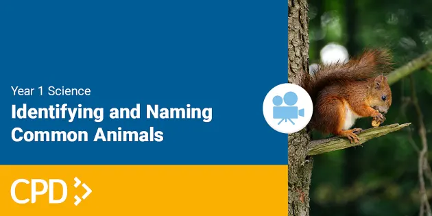 How to Teach Naming Common Animals in Year One Video CPD