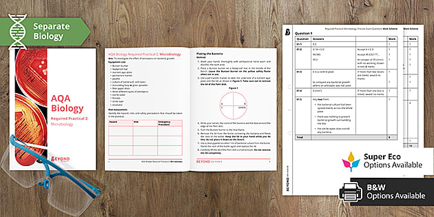 required-practical-microbiology-student-workbook-beyond