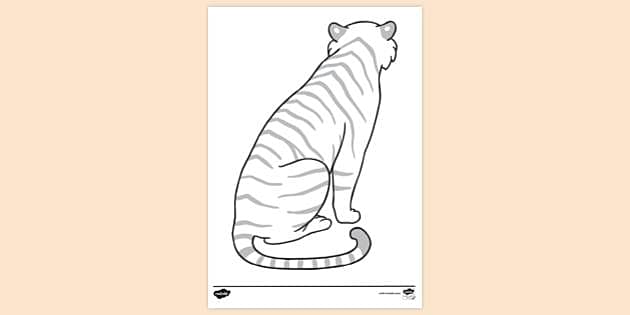 FREE! - Tiger Sitting Back View Colouring | Colouring Sheets