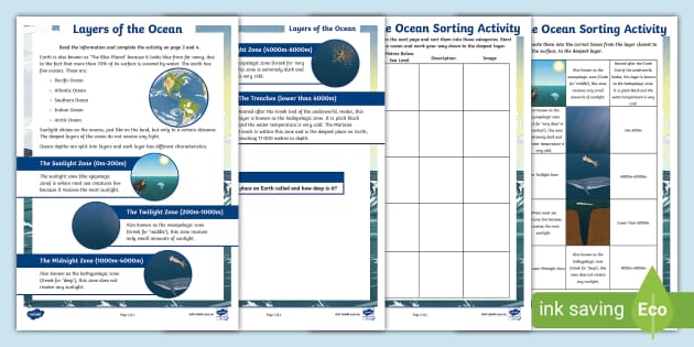 ocean zones diagram worksheet