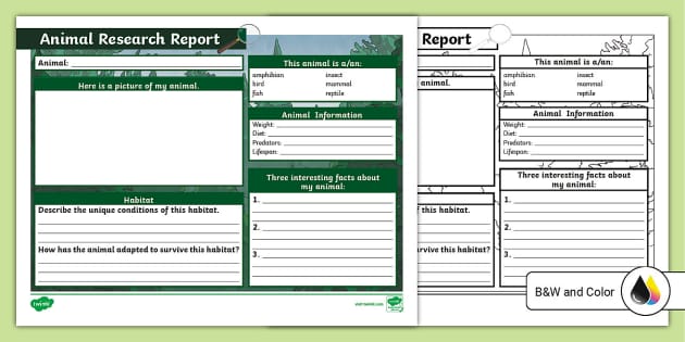Animal Research Report Template | Science Resources | Twinkl