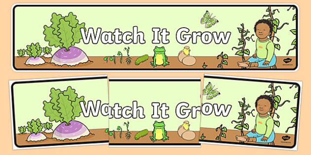 Watch It Grow Display Banner Australia Australian Curriculum