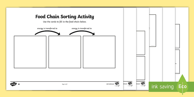 Food Chain Sorting Activity (Teacher-Made) - Twinkl