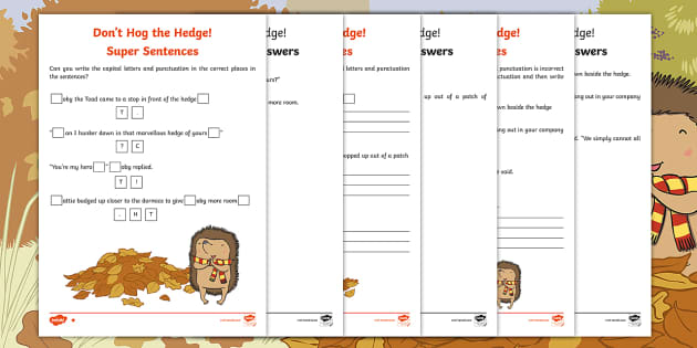 don-t-hog-the-hedge-super-sentences-differentiated-worksheet-activity