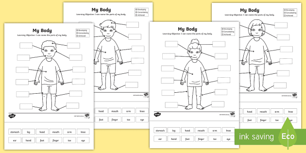 male female body diagram with labels body parts worksheet