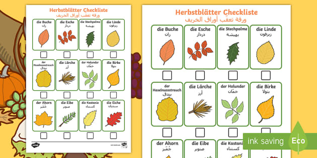 Deutsch Arabische Checkliste zum Herbstblätter sammeln