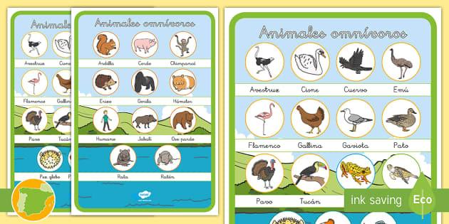 Posters Animales Omnivoros Teacher Made