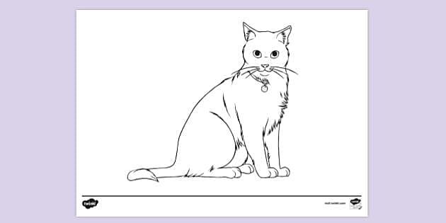 470 Collections Ragdoll Cat Coloring Pages Best