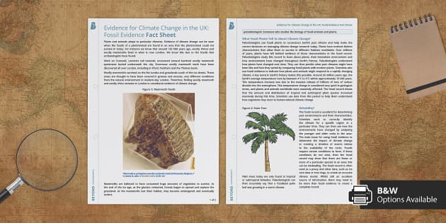 GCSE Evidence for Climate Change Fossil Evidence: Fact Sheet