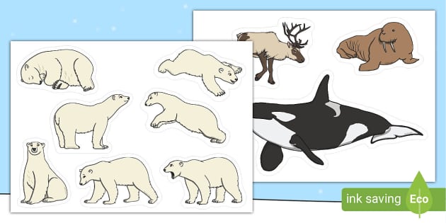 Polar Bear Sensory Story Cut Outs (teacher made) Twinkl