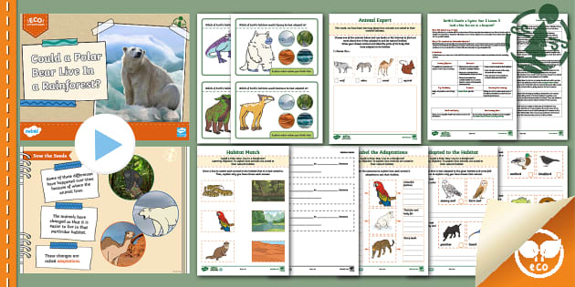 Animal Adaptations Writing Cards (teacher made) - Twinkl