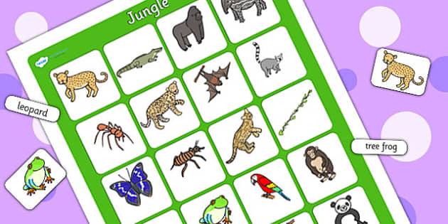 Jungle Vocabulary Poster - ESL Jungle Vocabulary - Twinkl