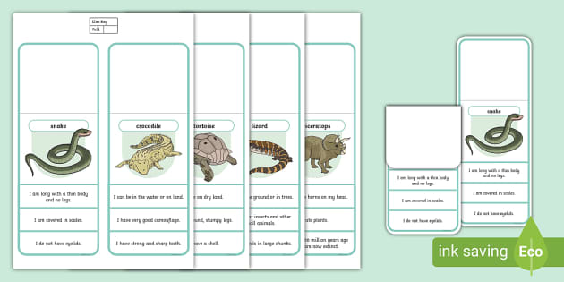 What Am I? Guess the Reptile Game (teacher made) - Twinkl