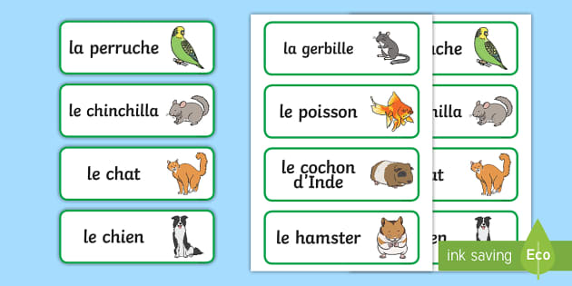 Cartes de vocabulaire : les animaux