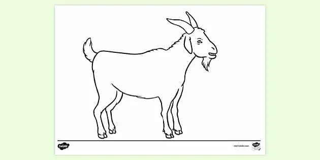 How to Draw a Goat — Learning the Ins and Outs of Goat Drawing with us -  artincontext - Medium