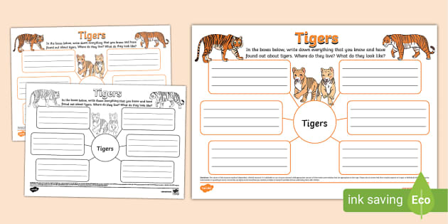 Facts About Tigers Mind Map - Twinkl